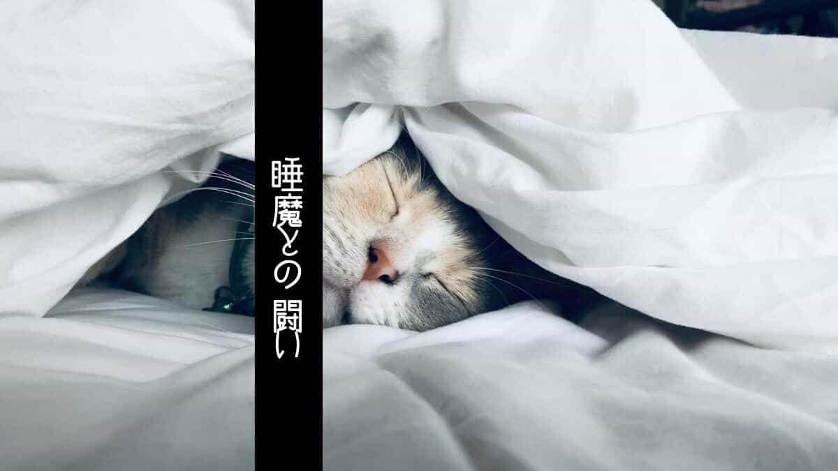 公認心理師現任者講習会に参加して 中篇 心理オフィスk