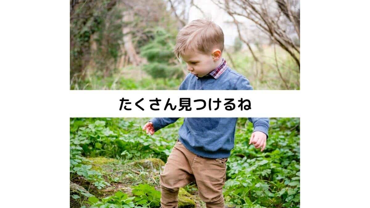 たくさん見つけるね