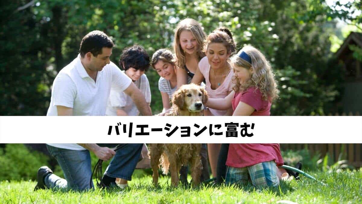 バリエーションに富む