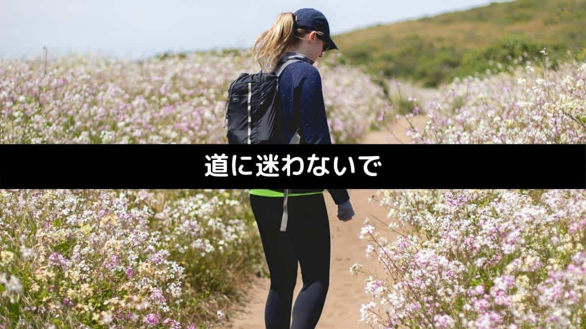 道に迷わないで
