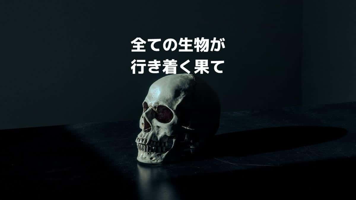 全ての生物が行き着く果て