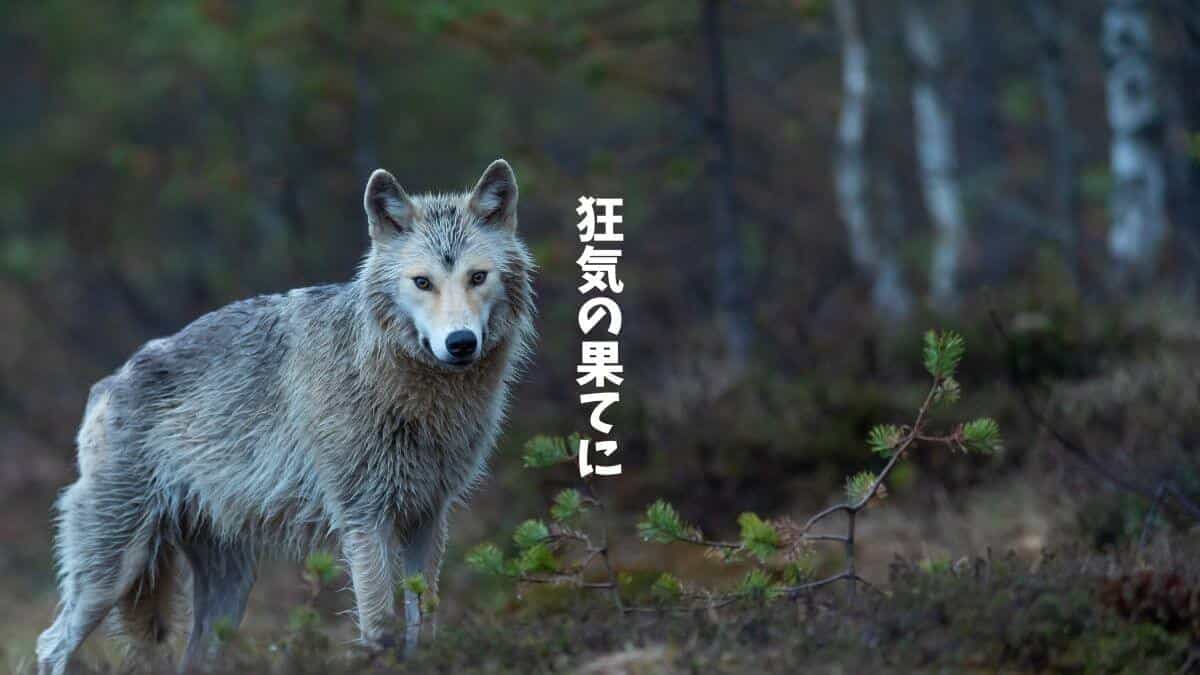 狂気の果てに