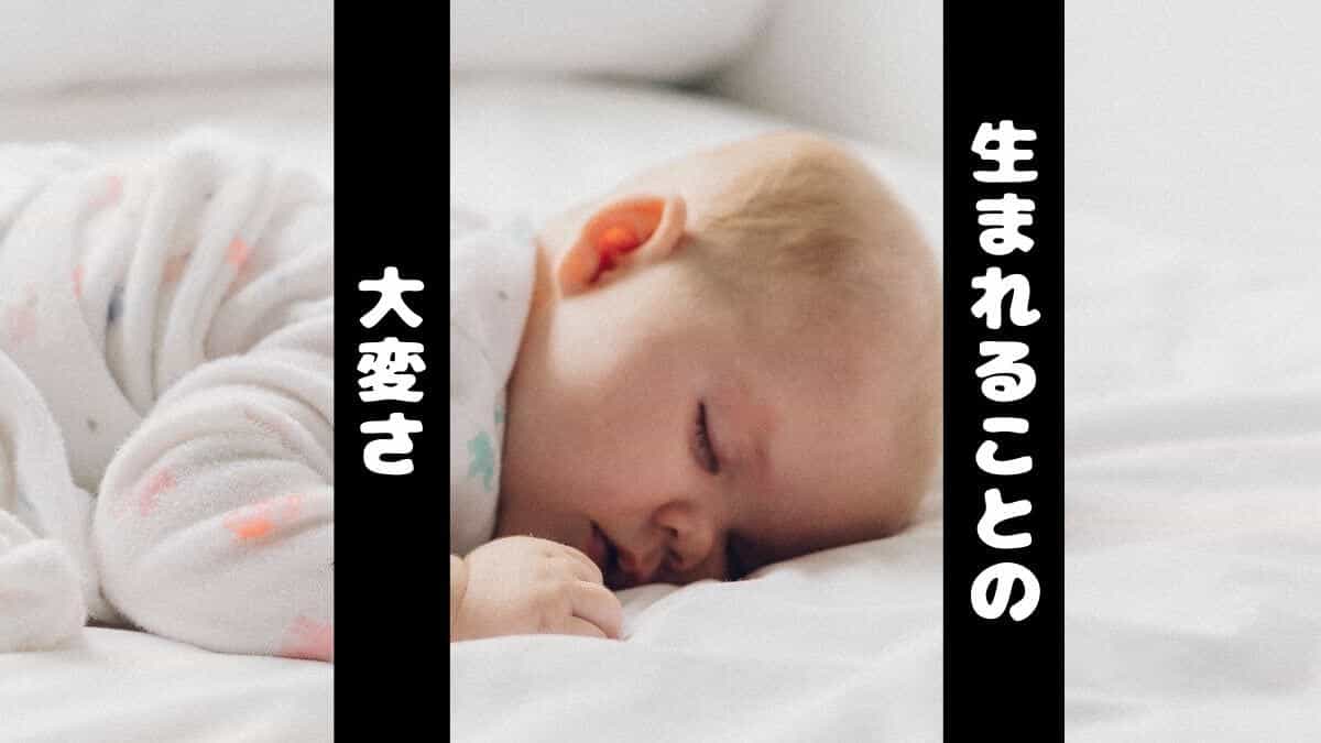 生まれることの大変さ