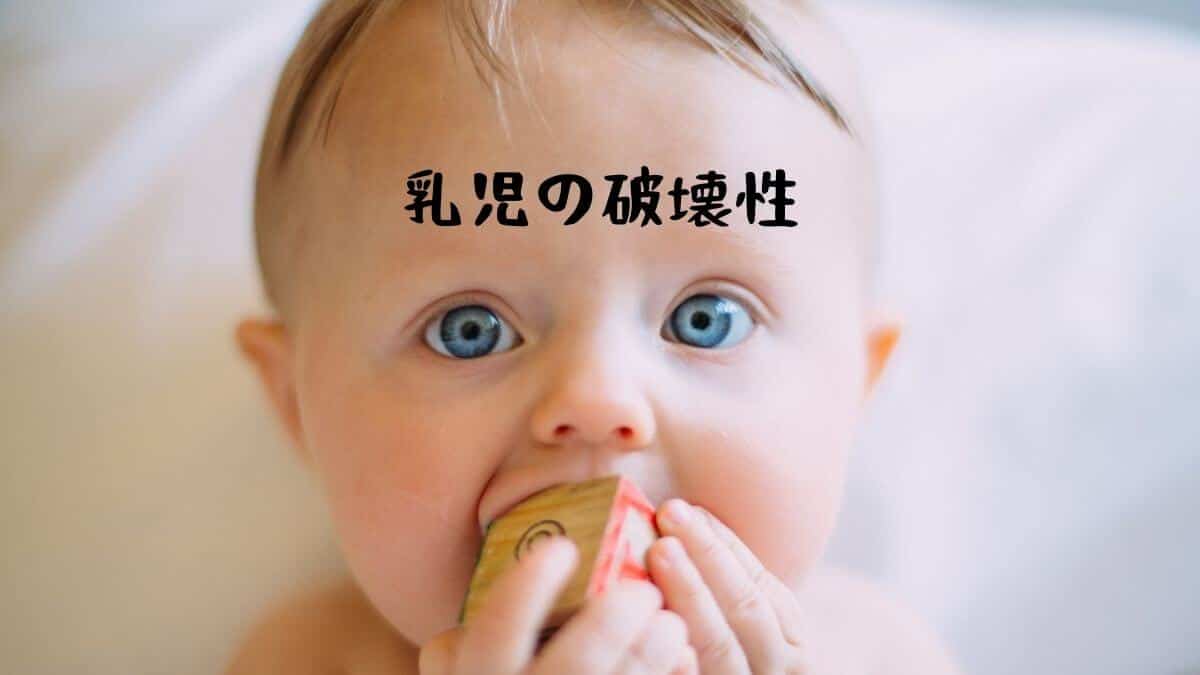 乳児の破壊性