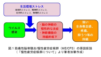 筋痛性脳脊髄炎/慢性疲労症候群（ME/CFS）の原因仮説