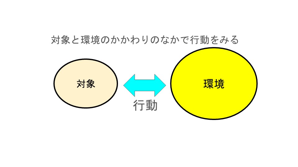対象と環境のかかわりのなかで行動をみる